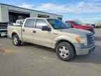 2009 FORD F-150 Lightning
