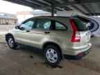 2009 HONDA CR-V