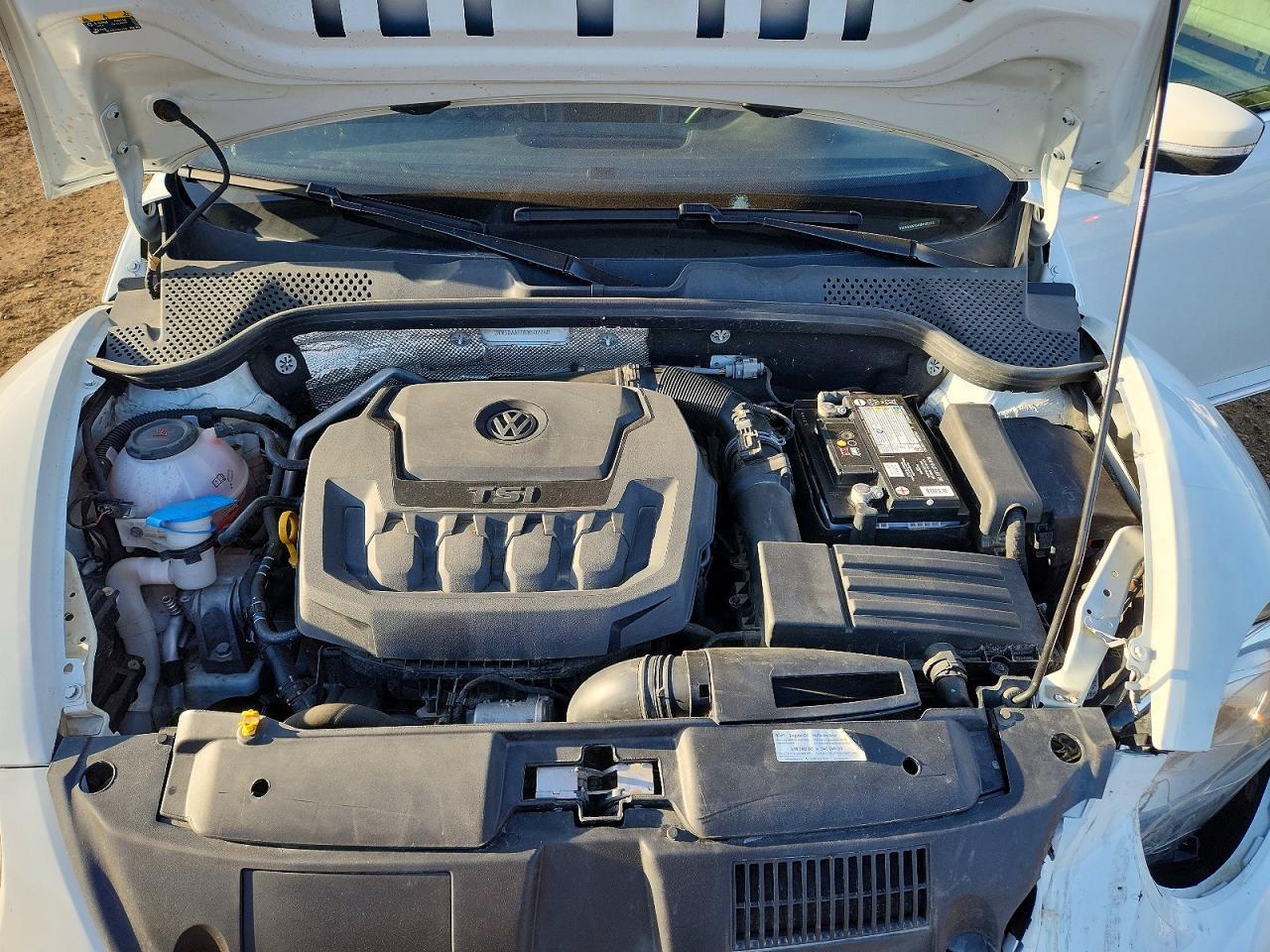 2019 VOLKSWAGEN Beetle