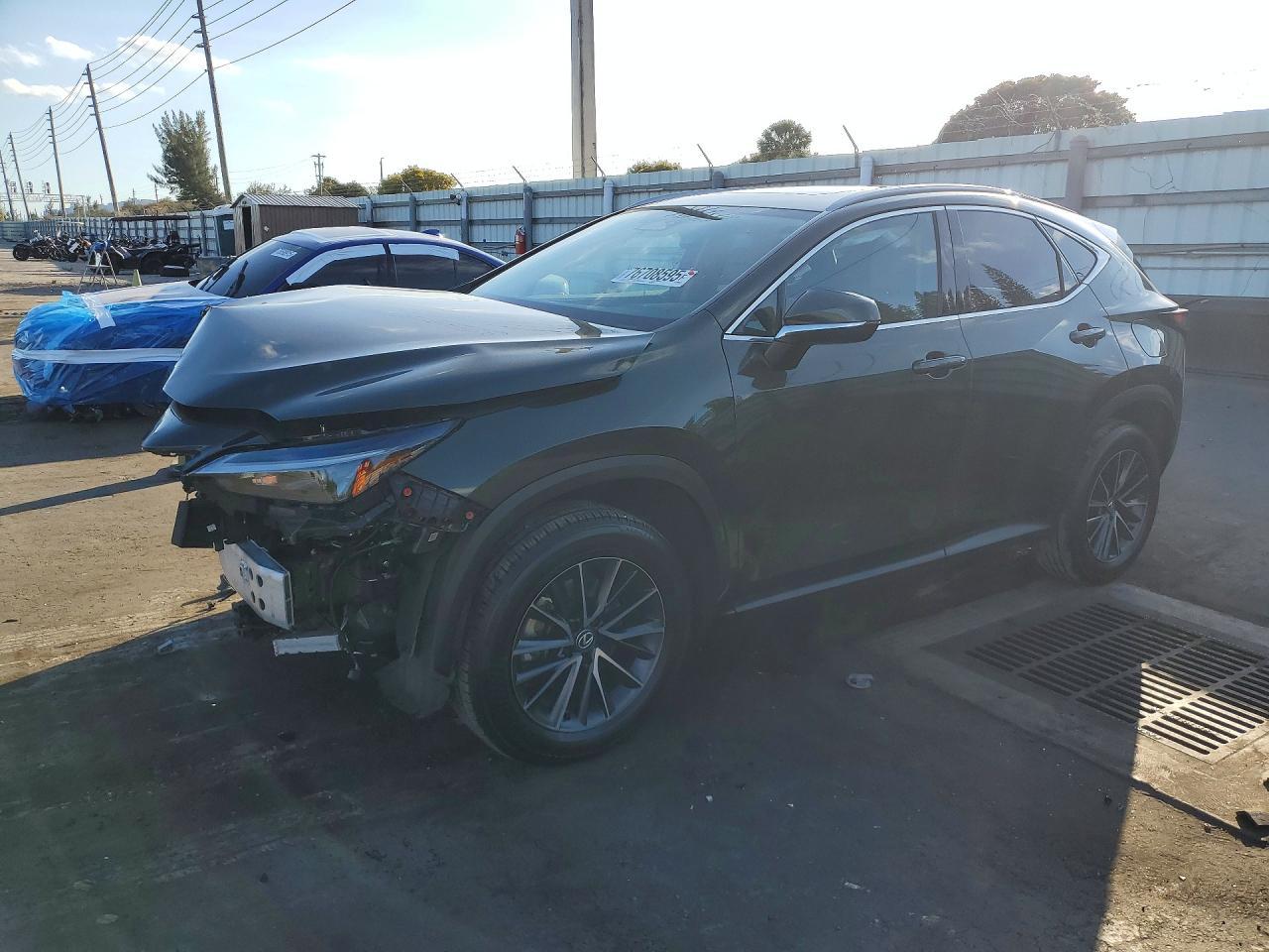 2024 LEXUS NX 250