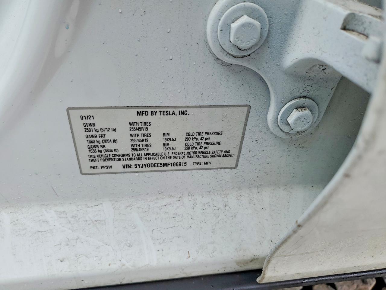 2021 TESLA MODEL Y
