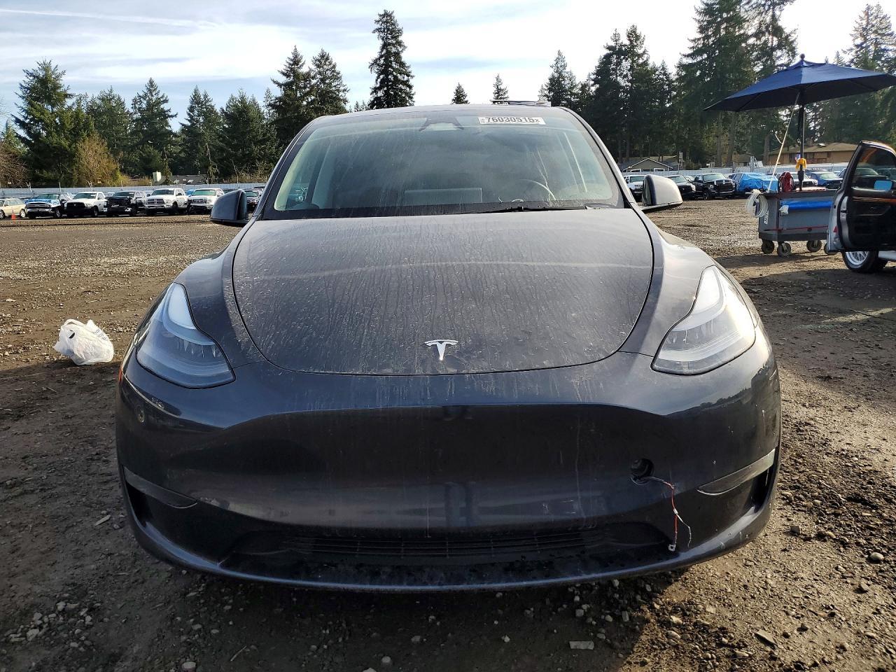 2024 TESLA MODEL Y
