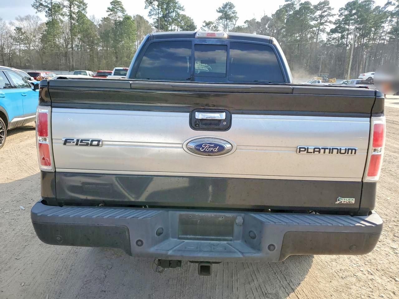 2010 FORD F-150 Lightning