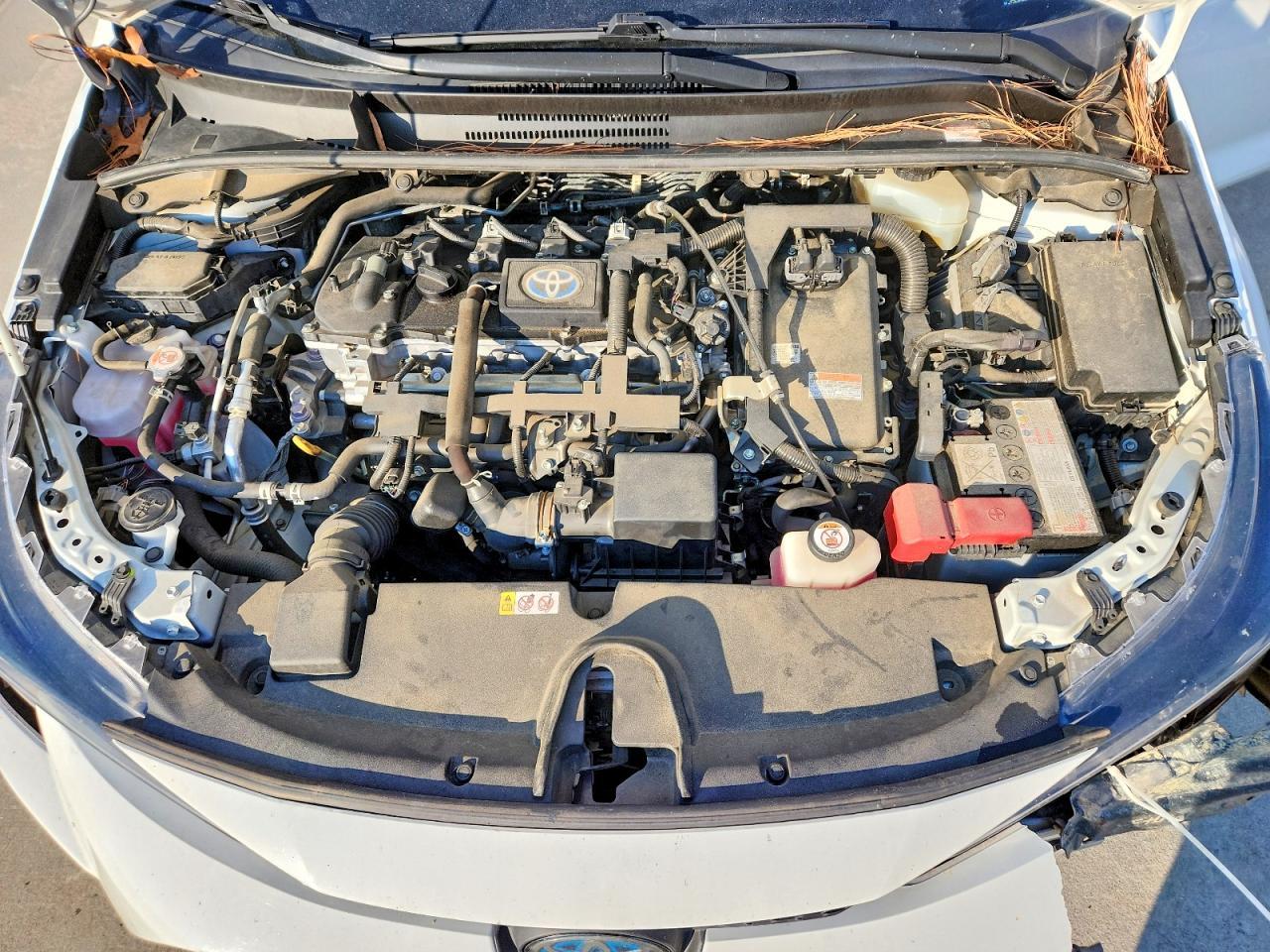 2021 TOYOTA COROLLA