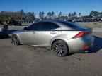 2019 LEXUS IS 300