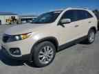 2011 KIA SORENTO