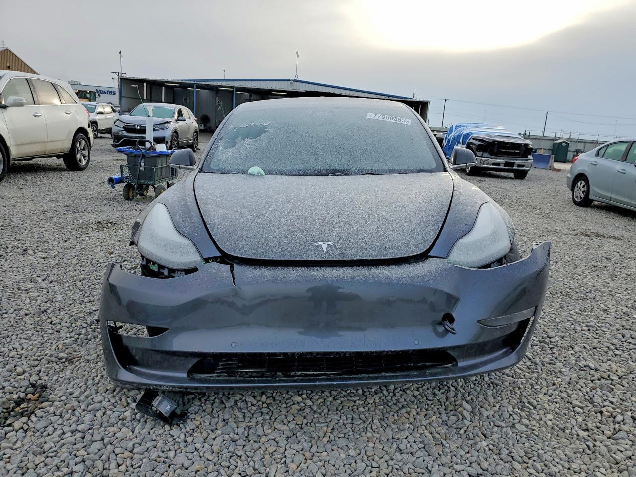 2019 TESLA MODEL 3