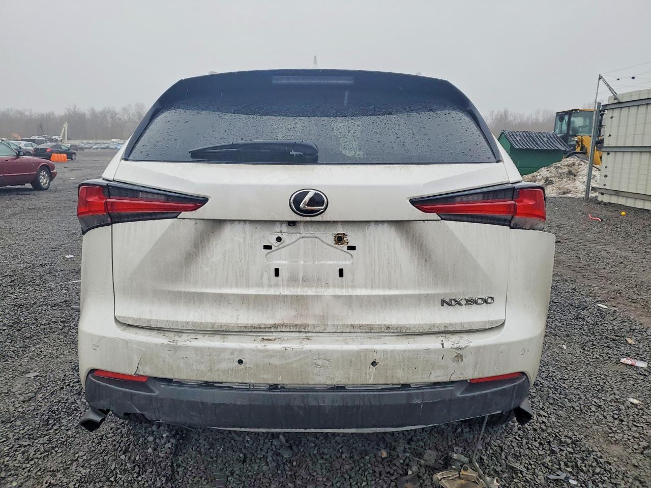 2021 LEXUS NX 300