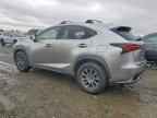 2020 LEXUS NX 300H