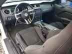 2013 FORD MUSTANG