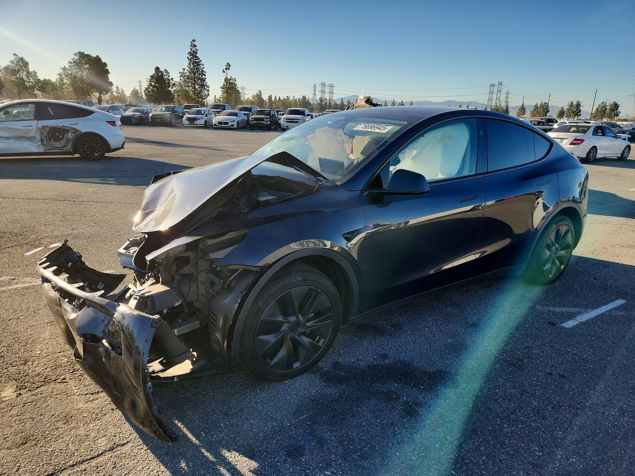 2025 TESLA MODEL Y