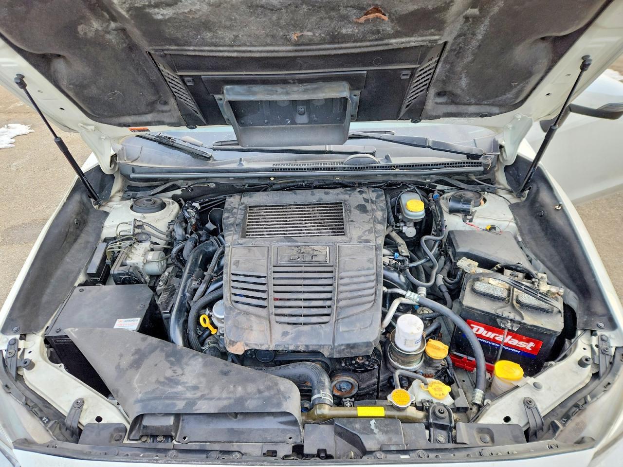 2019 SUBARU WRX