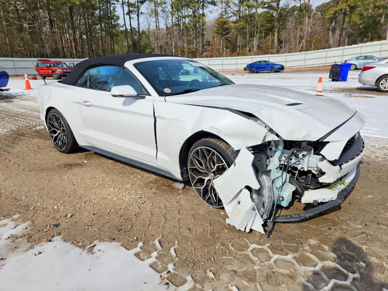 2019 FORD MUSTANG