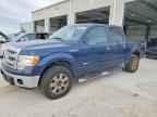 2013 FORD F-150 Lightning
