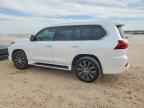 2019 LEXUS LX 570