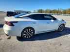 2023 NISSAN Maxima