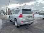 2010 LEXUS GX 460
