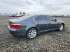 2009 LEXUS LS 460