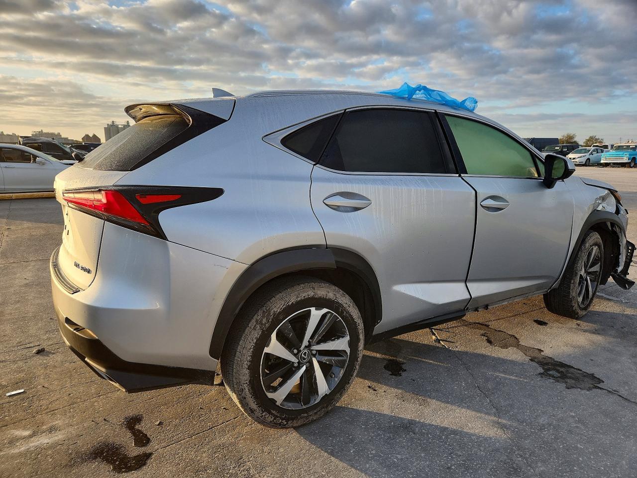 2019 LEXUS NX 300