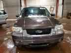 2006 FORD ESCAPE