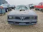 1981 PONTIAC Firebird