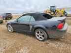 2003 FORD MUSTANG