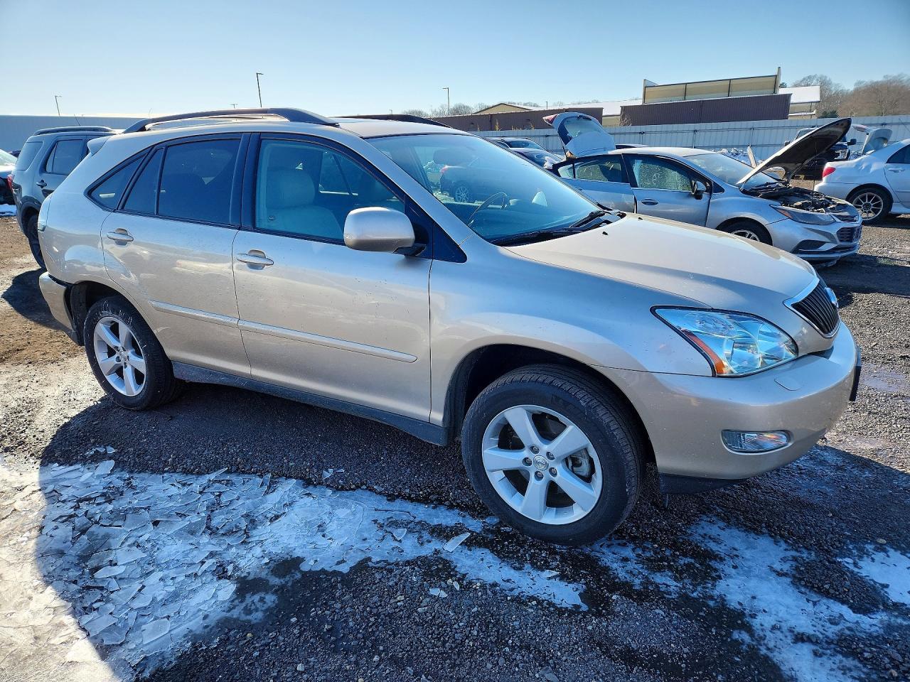 2004 LEXUS Rx 330