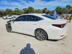 2020 LEXUS ES 350