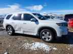 2023 HONDA PILOT