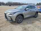 2024 LEXUS NX 350