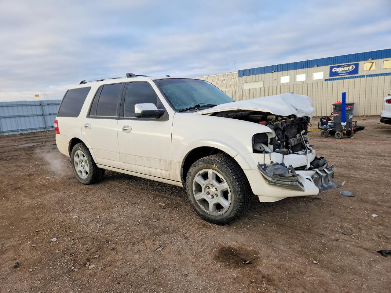 2014 FORD Expedition