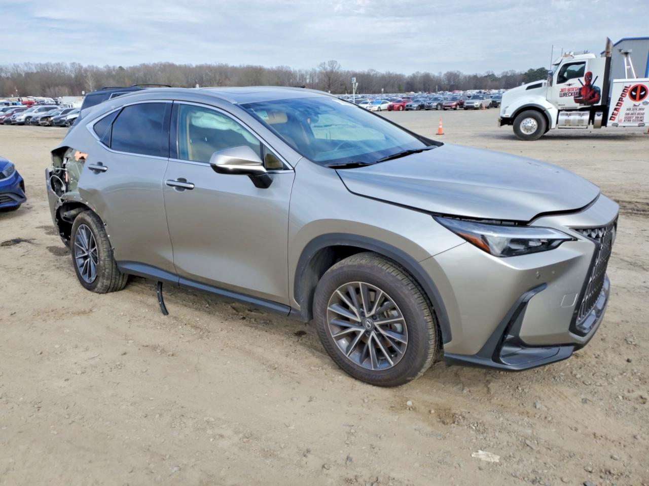 2024 LEXUS NX 350