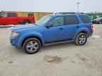 2010 FORD ESCAPE