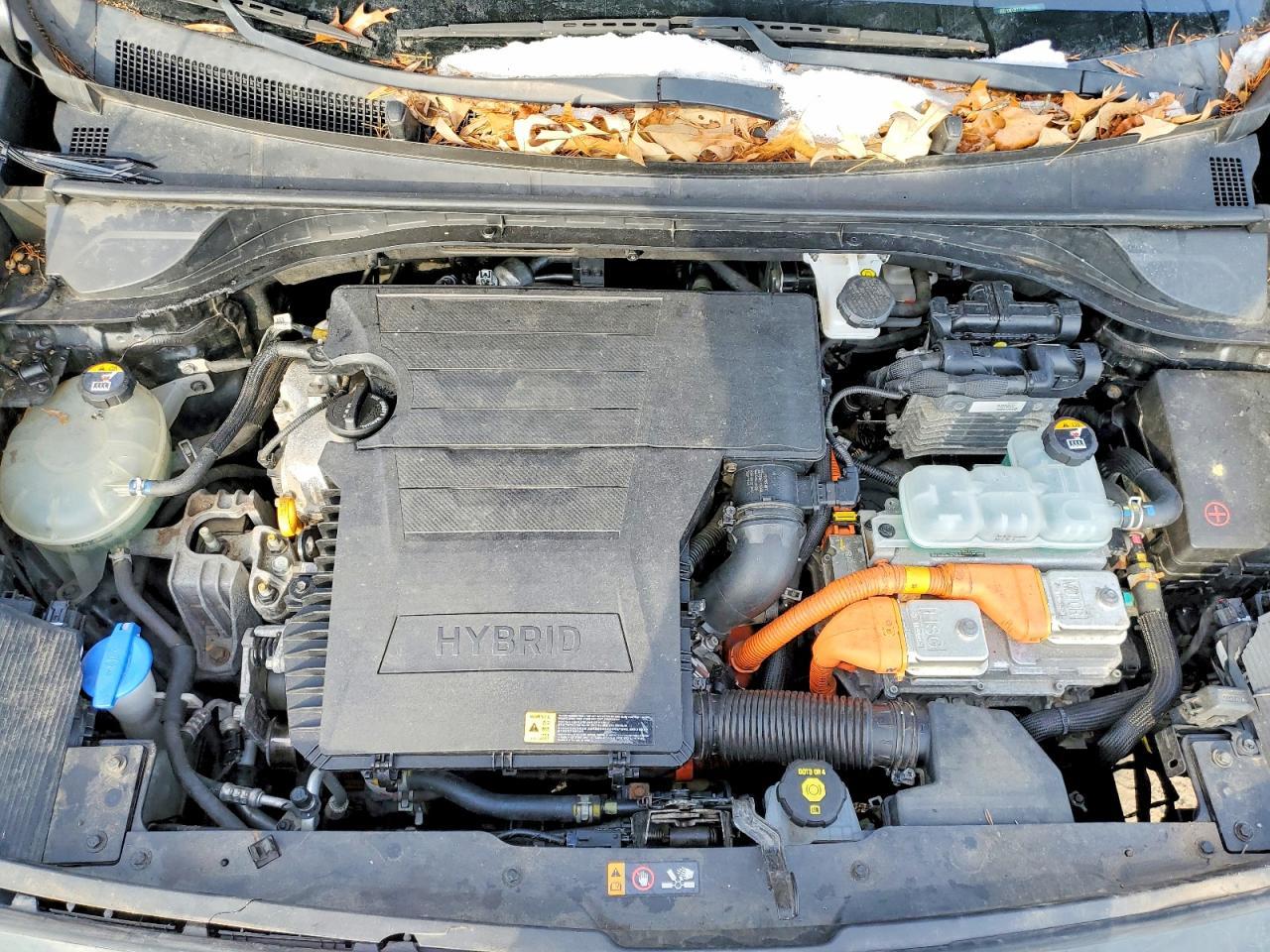 2020 KIA Niro