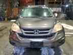 2010 HONDA CR-V