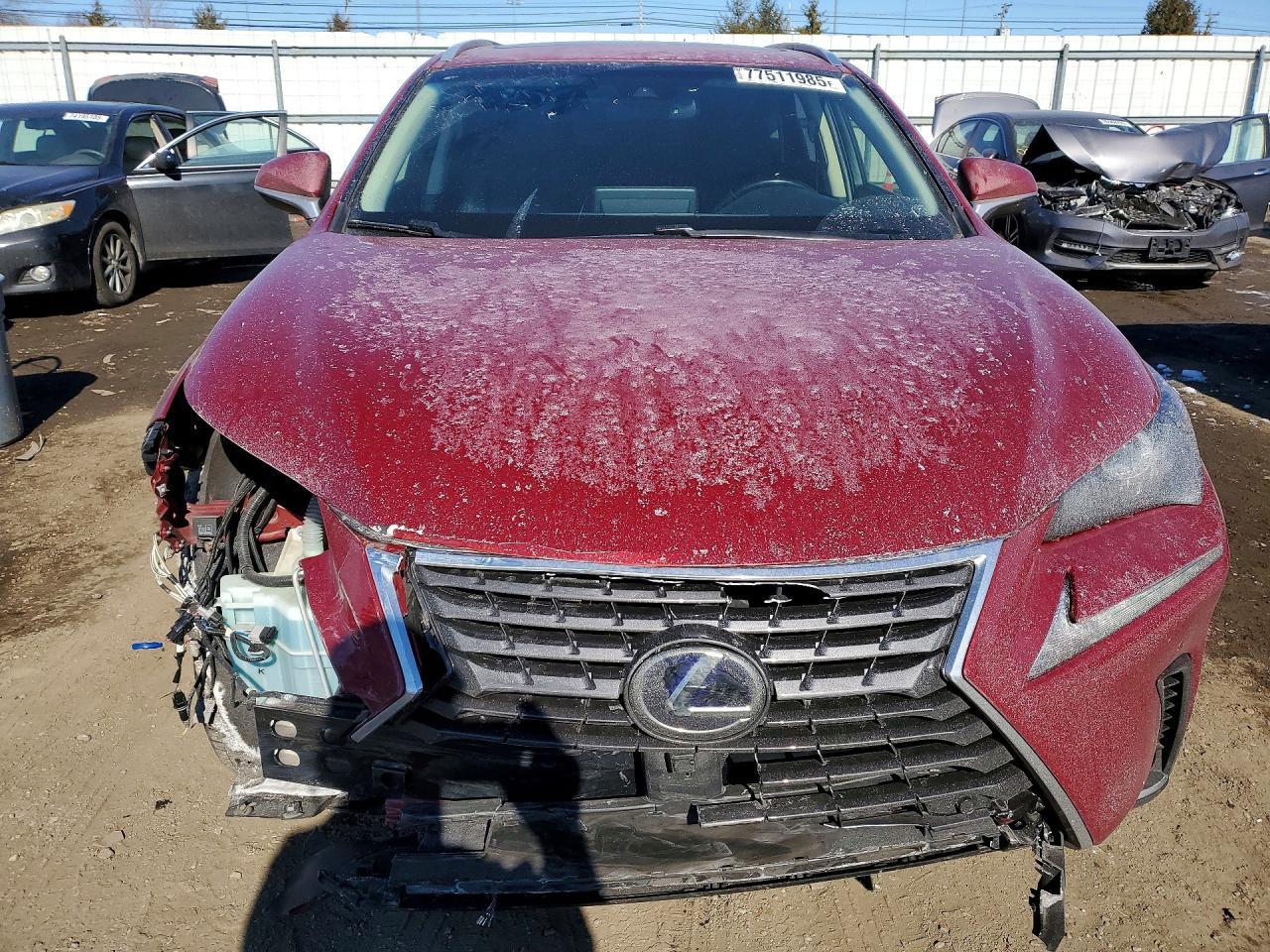 2019 LEXUS NX 300H