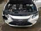 2020 LEXUS ES 300H