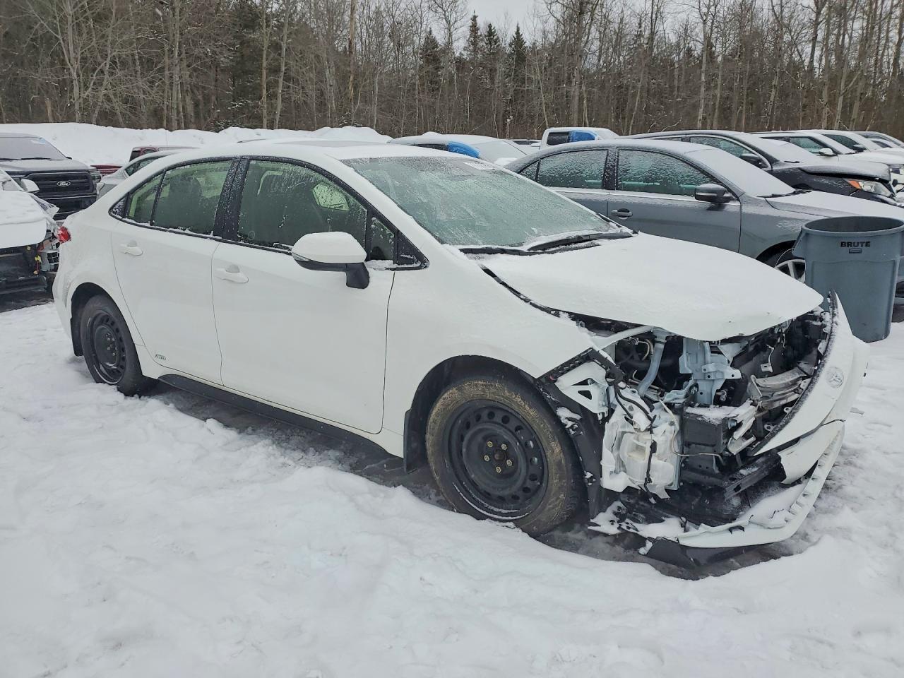 2026 TOYOTA COROLLA