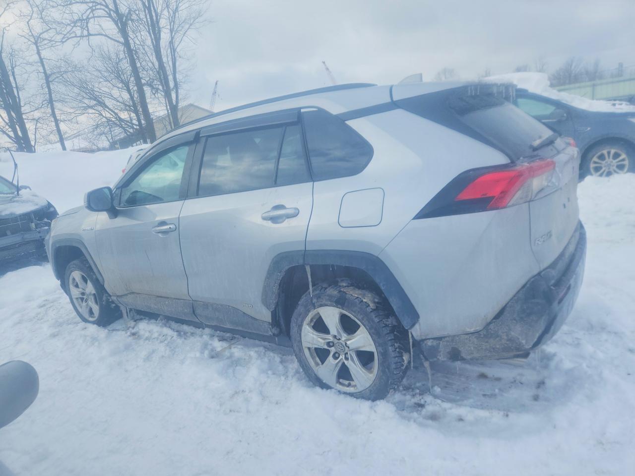 2019 TOYOTA RAV4