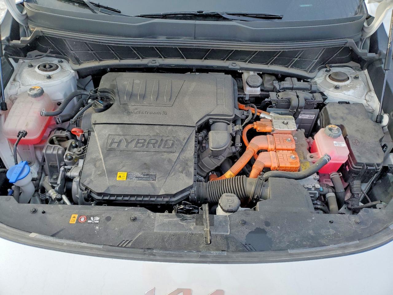 2025 KIA Niro