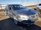 2010 HONDA ACCORD