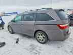 2011 HONDA ODYSSEY
