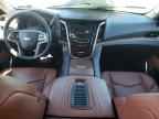 2019 CADILLAC ESCALADE