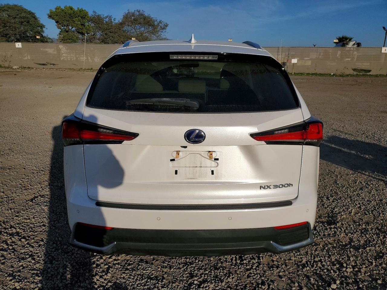 2019 LEXUS NX 300H