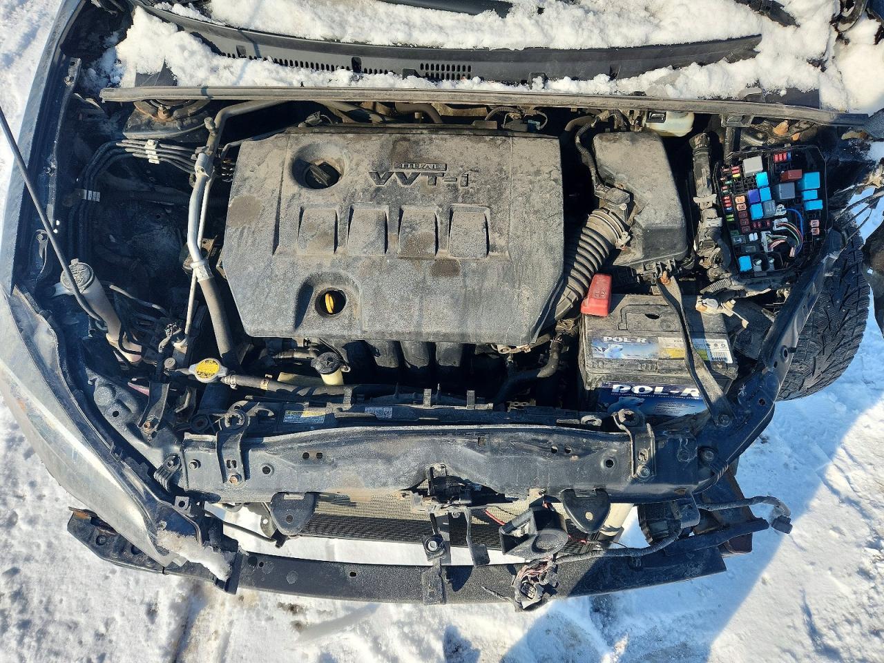 2019 TOYOTA COROLLA