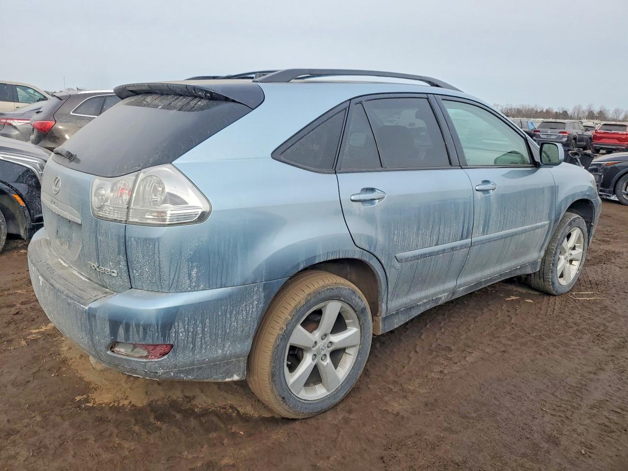 2004 LEXUS Rx 330