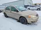 2008 TOYOTA COROLLA