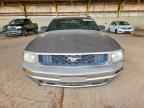2008 FORD MUSTANG