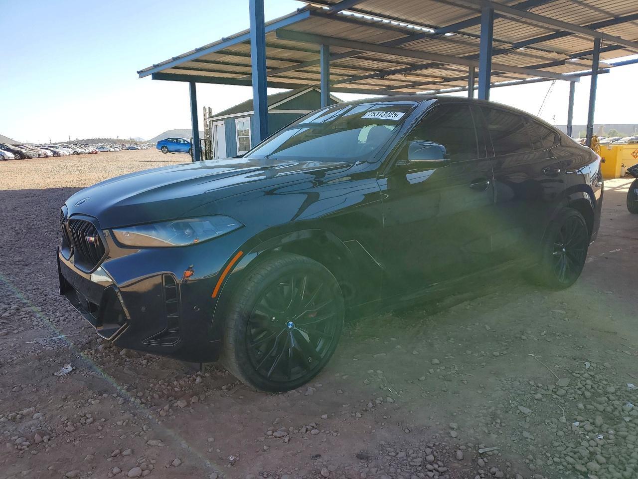 2026 BMW X6