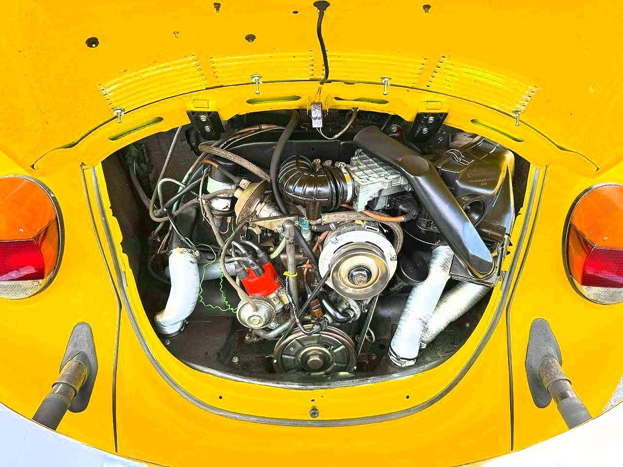 1979 VOLKSWAGEN Beetle